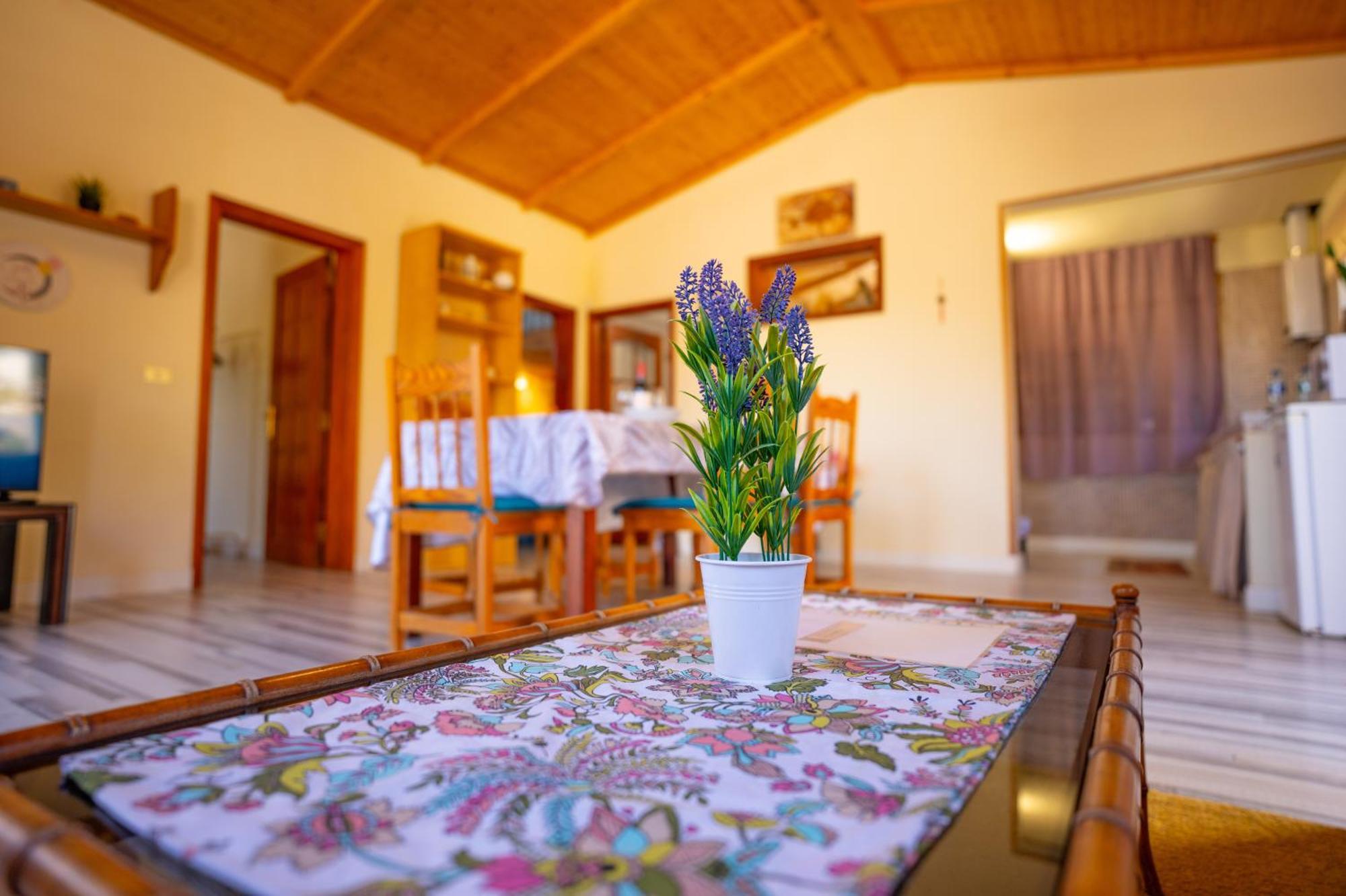 Casa Rural Buda Terra Санта-Крус-де-Тенеріфе Екстер'єр фото